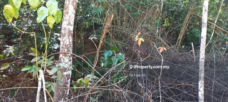 Agricultural Land for Sale in Rasa, Selangor by Iz Hakim - iProperty.com.my