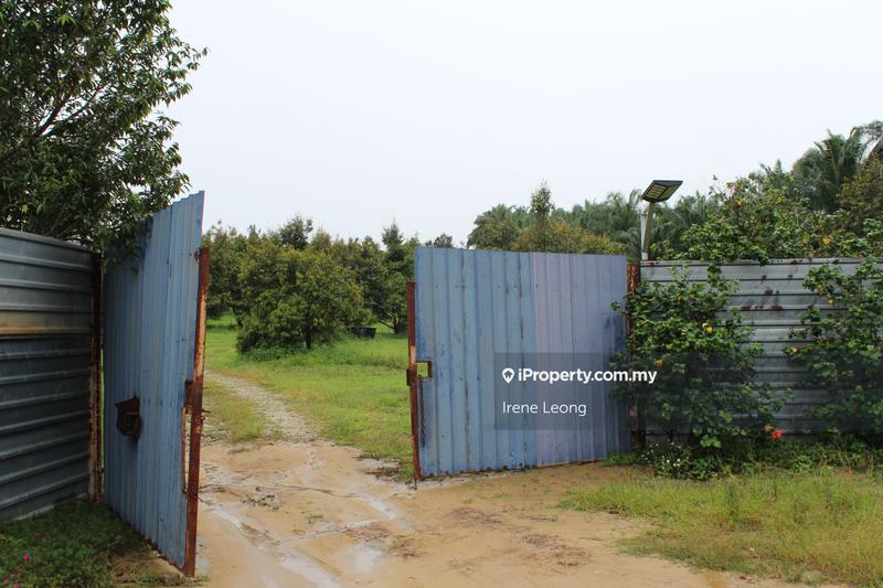 Agricultural Land for Sale in Kampung Selandar, Selandar by Irene Leong - iProperty.com.my