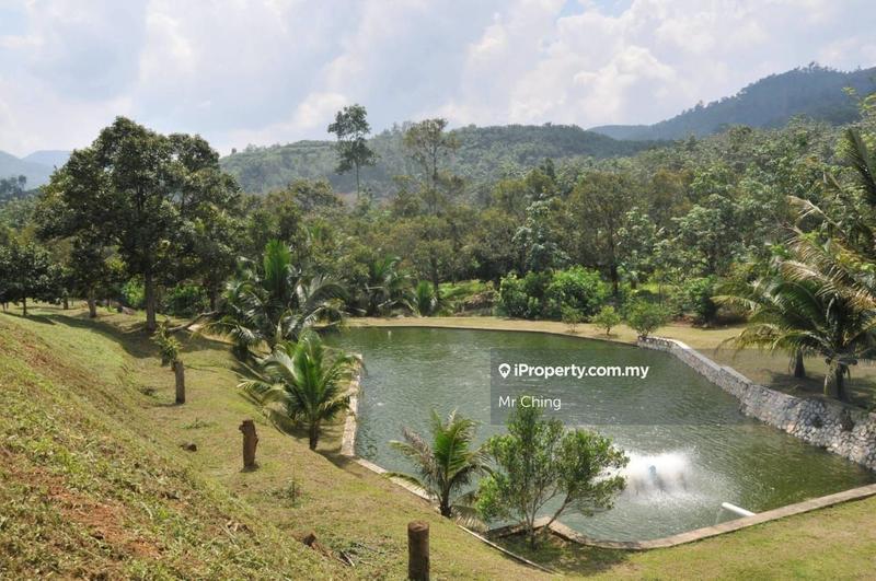 Agricultural Land for Sale in Raub Pahang, Raub by Mr Ching - iProperty.com.my