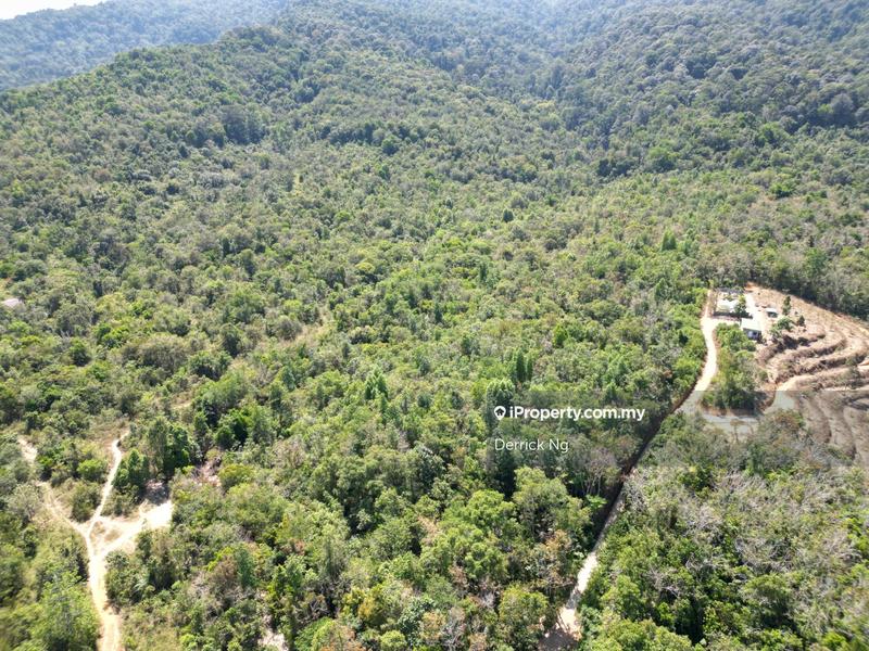For Sale - Gurun Agricultural Land