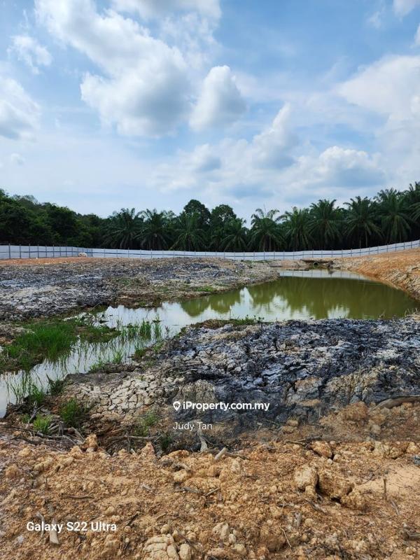 Tanah Pertanian untuk Dijual di Mentakab, Pahang oleh Judy Tan - iProperty.com.my