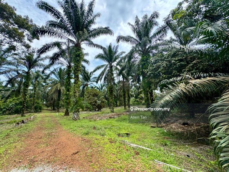 Tanah Perindustrian untuk Dijual di Jeram Batu, Pekan Nanas oleh Allen Tan - iProperty.com.my