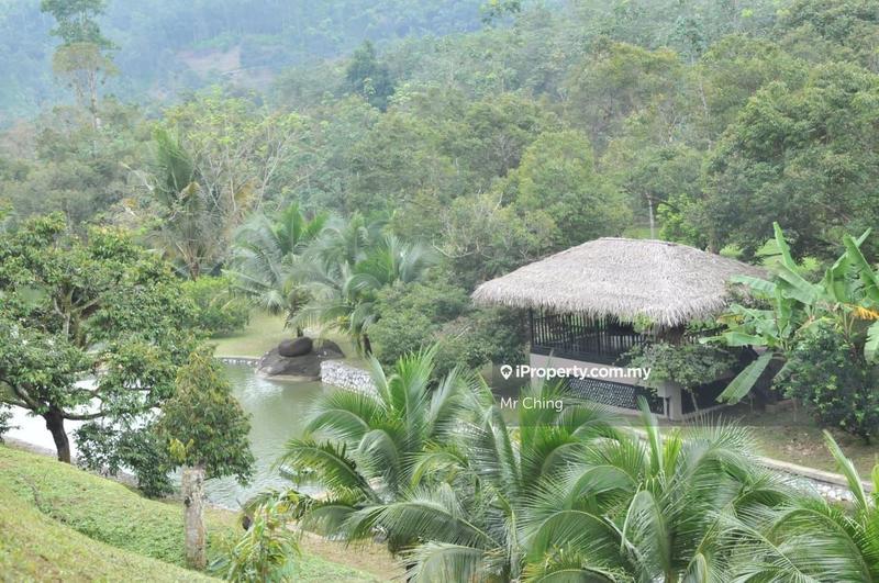 Agricultural Land for Sale in Raub Pahang, Raub by Mr Ching - iProperty.com.my