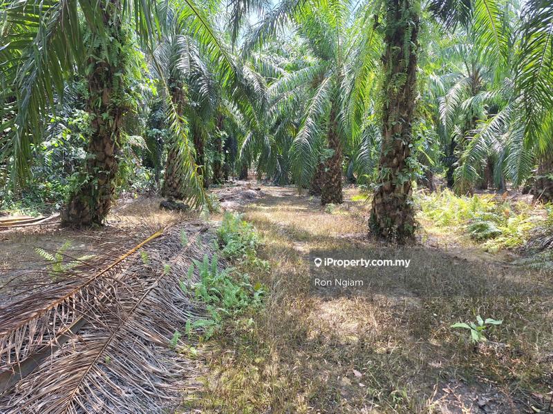 Tanah Kediaman untuk Dijual di Telok Panglima Garang, Selangor oleh Ron Ngiam - iProperty.com.my