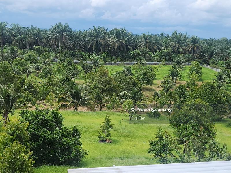 For Sale - Simpang Renggam Zoning Industrial Agriculture Land
