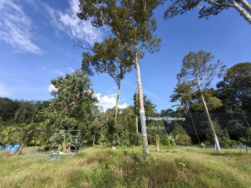 For Sale - 2 Acres Freehold Durian Farm Next to River Padang Tengku Kuala Lipis Raub Bentong
