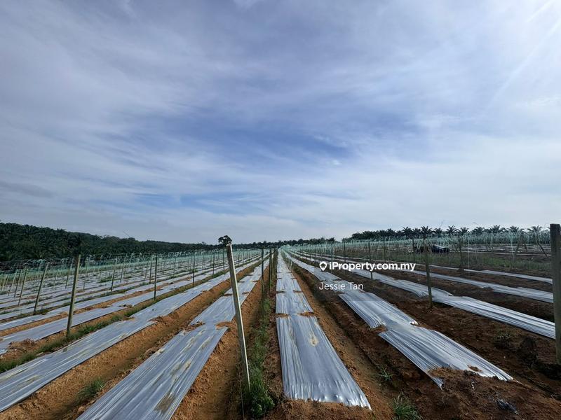 Agricultural Land for Sale in Kulai, Johor by Jessie Tan - iProperty.com.my