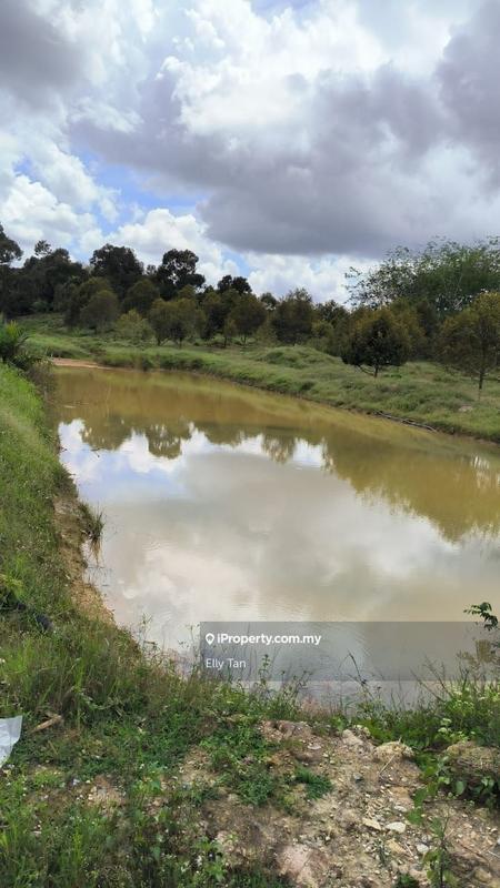 Tanah Pertanian untuk Dijual di Telemong, Karak, Bentong, Raub, Manchis, Bentong oleh Elly Tan - iProperty.com.my