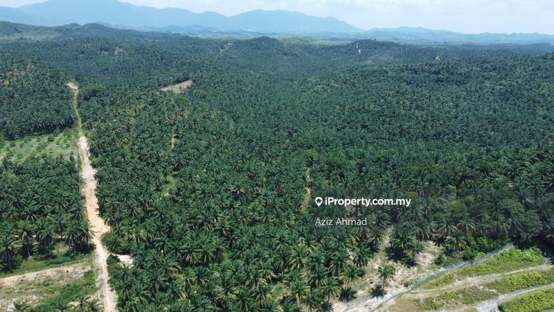 Agricultural Land for Sale in Rembau, Rembau by Aziz Ahmad - iProperty.com.my