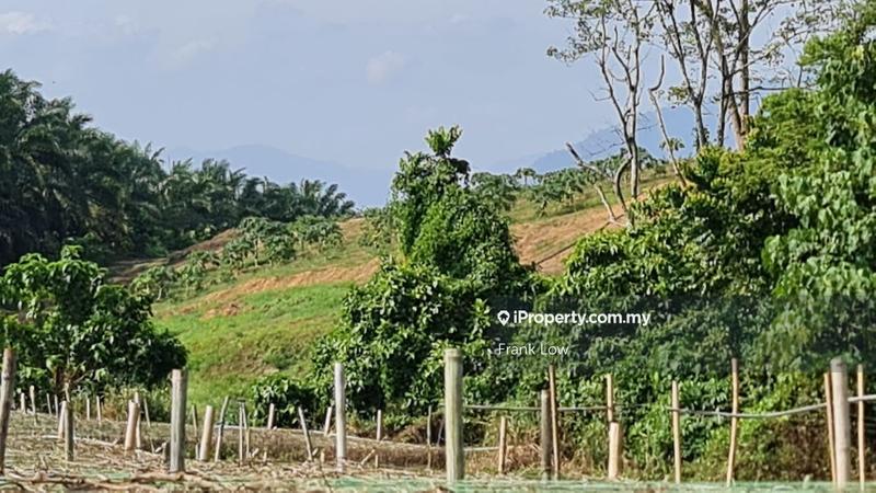 Tanah Pertanian untuk Dijual di Batang Kali, Selangor oleh Frank Low - iProperty.com.my