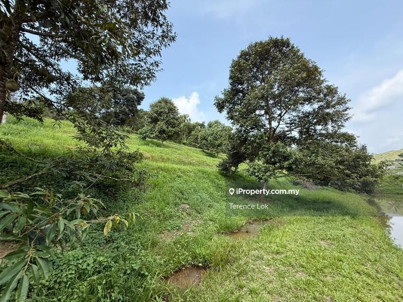 Tanah Pertanian untuk Dijual di Hosapa, Titi oleh Terence Lok - iProperty.com.my