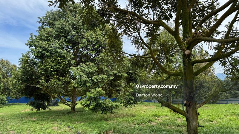 Tanah Pertanian untuk Dijual di Sg Ruan, Raub oleh Damon Wong - iProperty.com.my