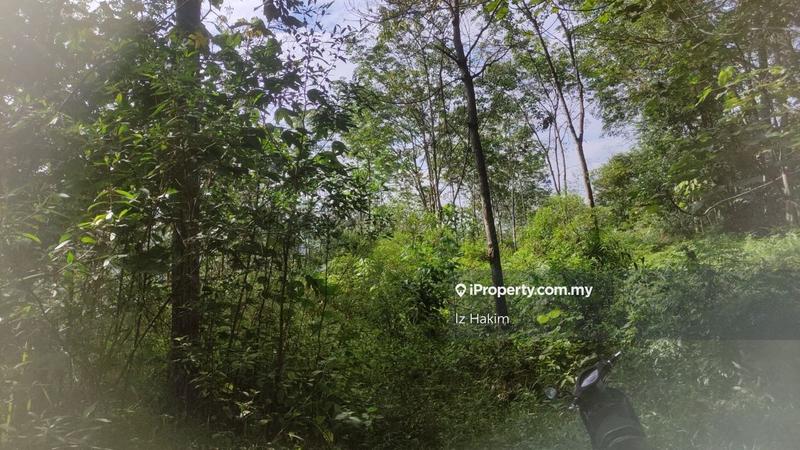 Tanah Pertanian untuk Dijual di hulu rening, Batang Kali oleh Iz Hakim - iProperty.com.my