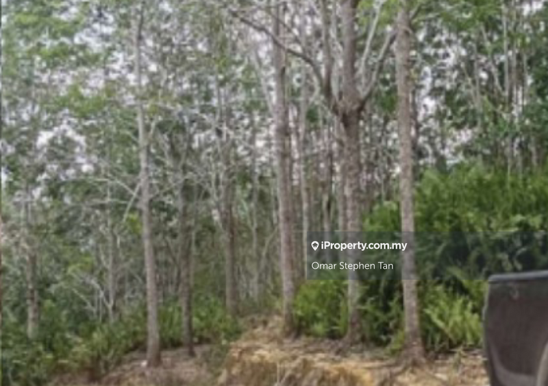 Agricultural Land for Sale in Kota Marudu, Sabah by Omar Stephen Tan - iProperty.com.my
