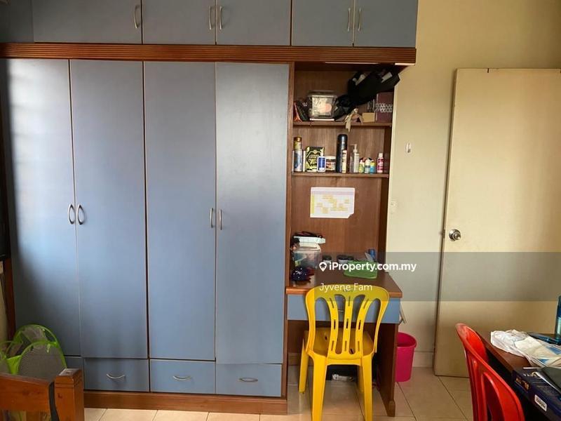 For Sale - Evergreen Park Scot Pine