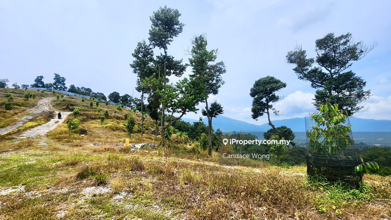 Agricultural Land for Sale in Kampung Sungai Lalang, Semenyih by Candace Wong - iProperty.com.my
