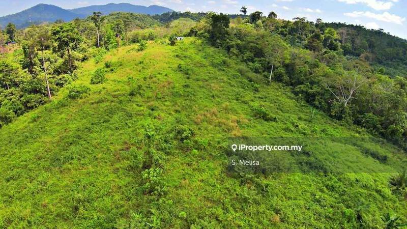 Agricultural Land for Sale in Bukit Damar, Lanchang, Temerloh by S. Melisa - iProperty.com.my