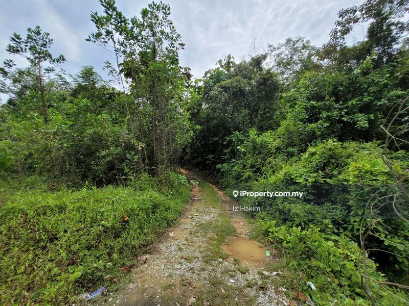 Agricultural Land for Sale in Kuala Kubu Baru, Selangor by Iz Hakim - iProperty.com.my