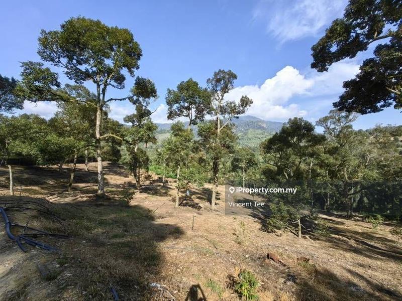 Tanah Pertanian untuk Dijual di Cheroh, Raub oleh Vincent Tee - iProperty.com.my