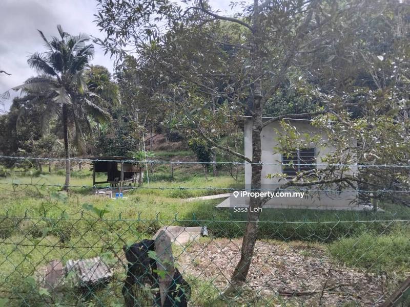 Agricultural Land for Sale in Taman Bukit Petaling, Kuala Klawang by Sasa Loh - iProperty.com.my