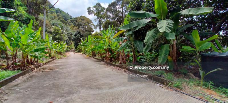 Tanah Pertanian untuk Dijual di Balik Pulau, George Town oleh CH Chang - iProperty.com.my