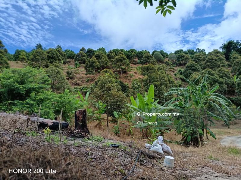 Tanah Pertanian untuk Dijual di Kampung Sungai Pinang, Balik Pulau oleh CH Chang - iProperty.com.my