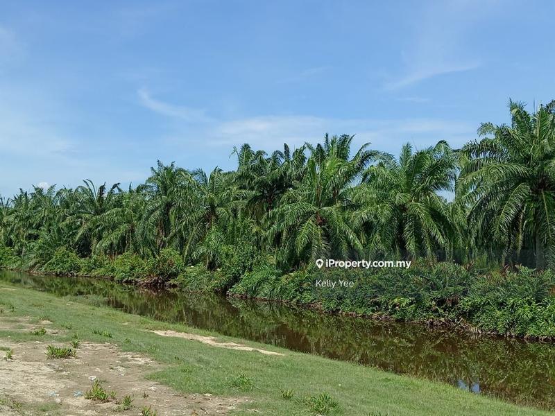 Tanah Pertanian untuk Dijual di Nibong Tebal, Penang oleh Kelly Yee - iProperty.com.my