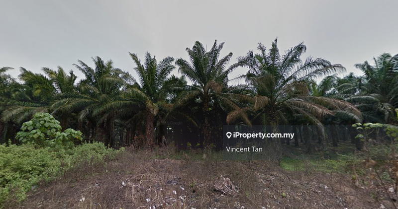 For Sale - Negeri Sembilan Land