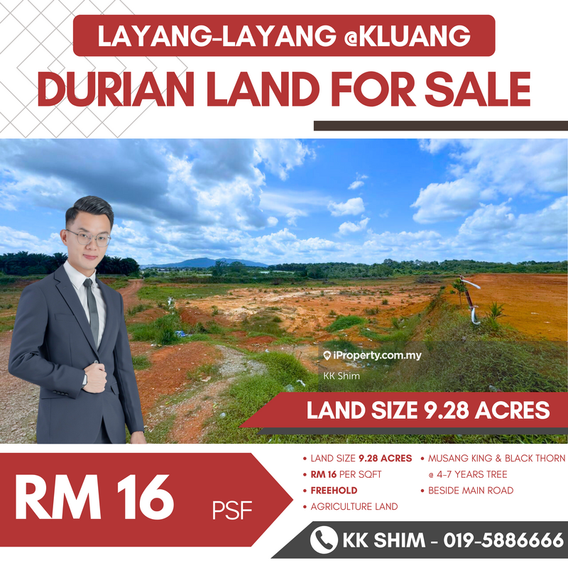 For Sale - Layang-Layang @ Kluang 9.28 Acres Durian Land for Sale