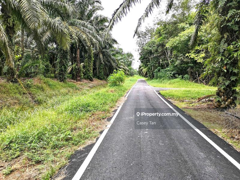 Tanah Pertanian untuk Dijual di Kampung Rimba Terjun, Pontian oleh Casey Tan - iProperty.com.my
