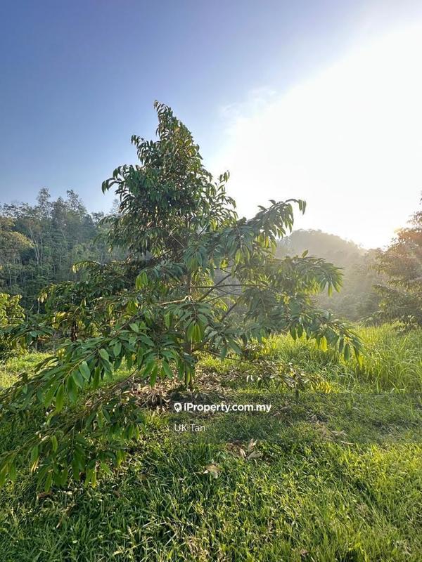 For Rent - Agriculture Land 6 Acres @ Serendah Rawang