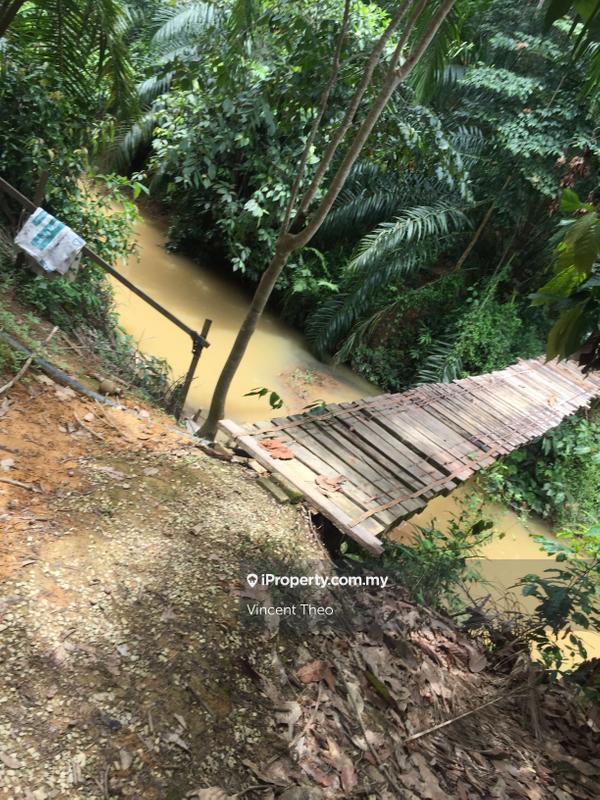 Agricultural Land for Sale in Kampung Tempoyang, Kuala Lipis by Vincent Theo - iProperty.com.my