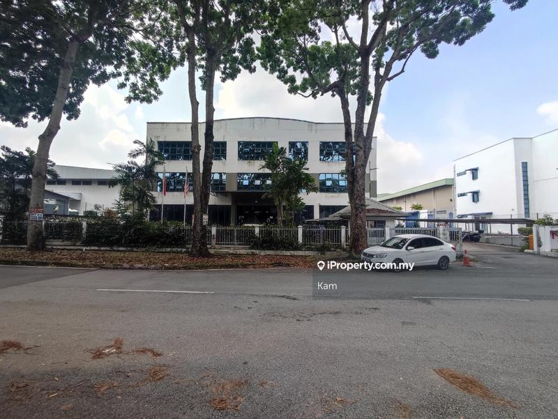 For Sale - Anggerik mokara, Kemuning