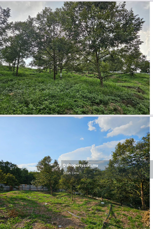 Agricultural Land for Sale in Hulu Langat, Selangor by Sean Liew - iProperty.com.my