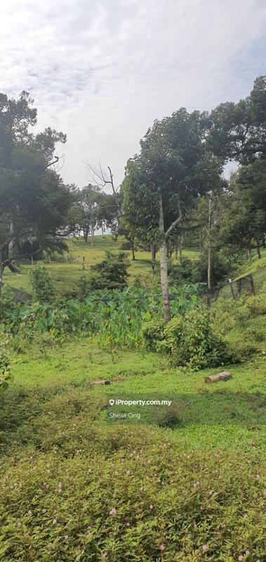 Tanah Pertanian untuk Dijual di Nilai, Negeri Sembilan oleh Sheila Ong - iProperty.com.my