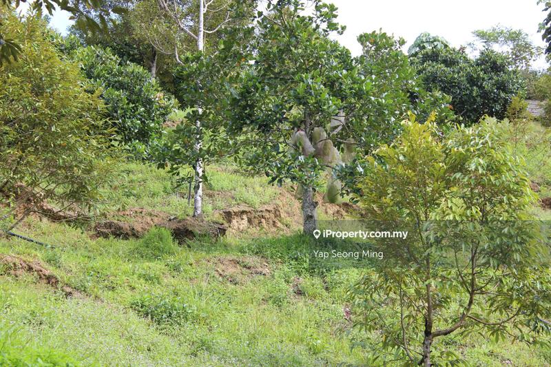 Tanah Pertanian untuk Dijual di Kenaboi, Kenaboi oleh Yap Seong Ming - iProperty.com.my