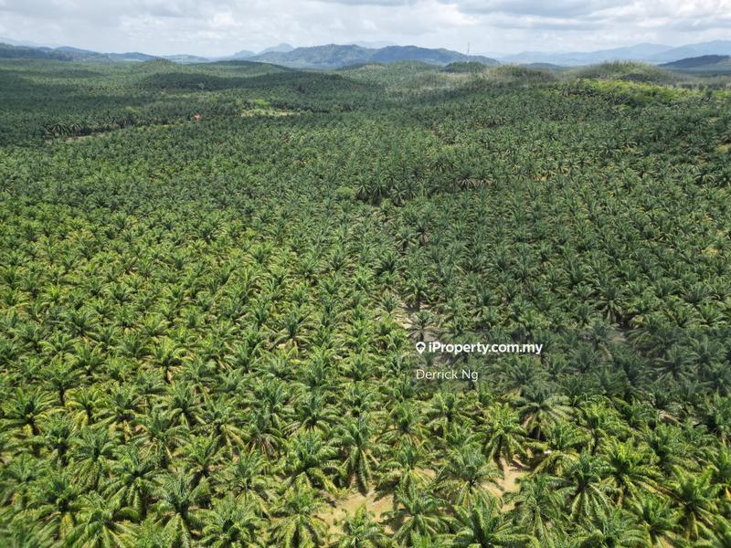 Tanah Pertanian untuk Dijual di Bandar Puteri Jaya, Sungai Petani oleh Derrick Ng - iProperty.com.my