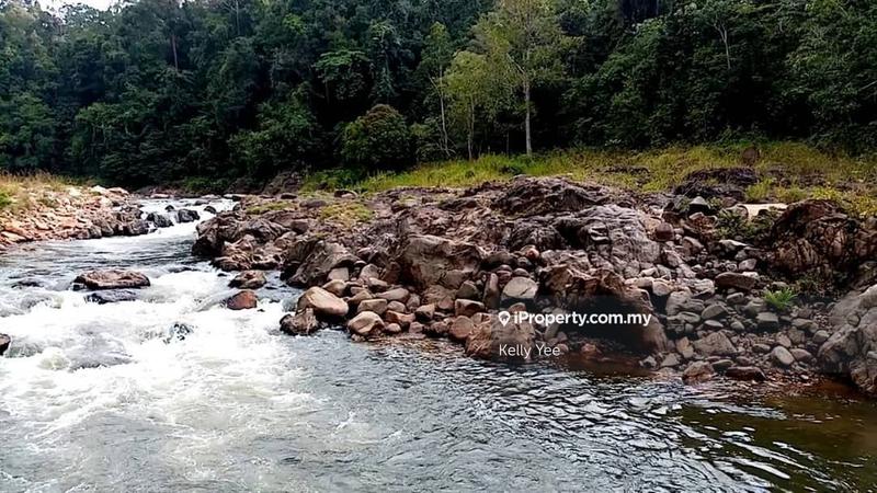 Agricultural Land for Sale in Primary Rain Forest Land in Ulu Tembeling for Sale, Jerantut by Kelly Yee - iProperty.com.my