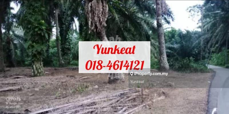 Agricultural Land for Sale in Changkat, Nibong Tebal by Yunkeat - iProperty.com.my