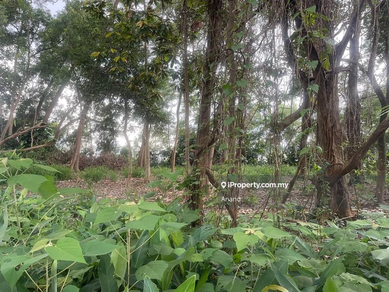 For Sale - BUKIT GASING HILLTOP, SEKSYEN 5, PETALING JAYA, Bukit Gasing, Petaling Jaya