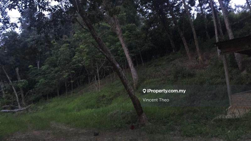 Agricultural Land for Sale in Kampung Tempoyang, Kuala Lipis by Vincent Theo - iProperty.com.my