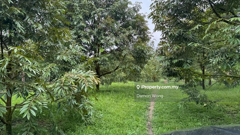 Agricultural Land for Sale in Karak, Karak by Damon Wong - iProperty.com.my