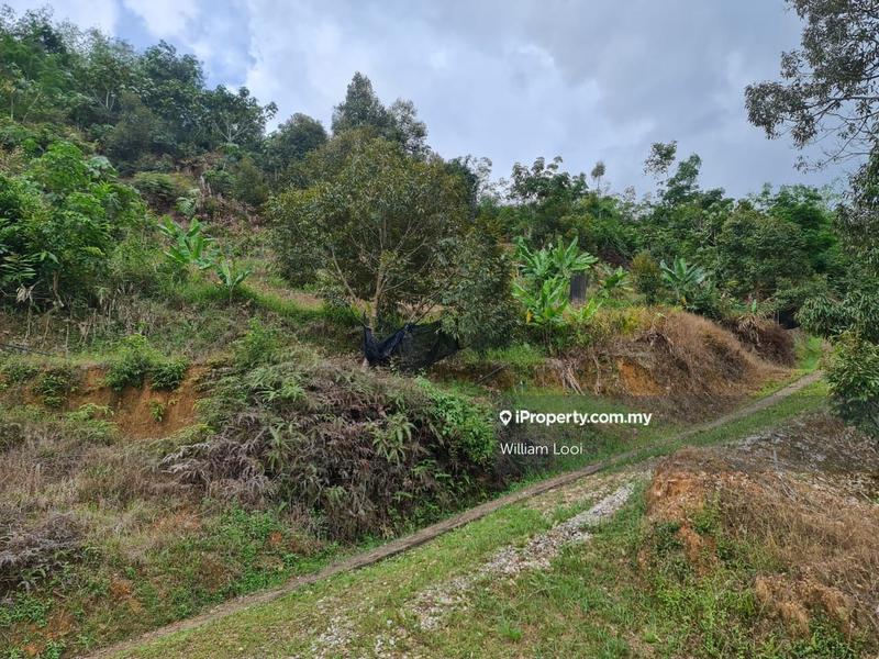 Agricultural Land for Sale in Kampung Tras, Raub by William Looi - iProperty.com.my