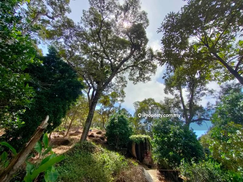 Agricultural Land for Sale in Pulau Penang, Bayan Lepas by Sean Liew - iProperty.com.my