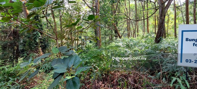 Bungalow Land for Sale in Bukit Tinggi, Bentong by Henry Ta - iProperty.com.my