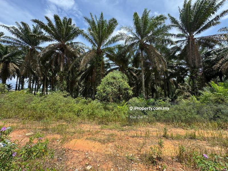 For Sale - Ulu Choh 2 Acres Zoning Industrial Land Beside Road