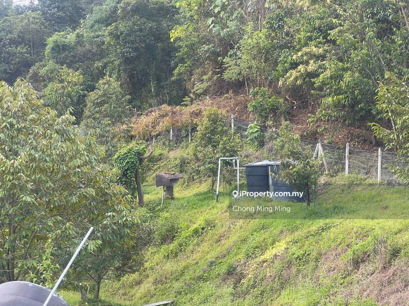 Agricultural Land for Sale in Kampung Pantai, Pantai by Chong Ming Ming - iProperty.com.my