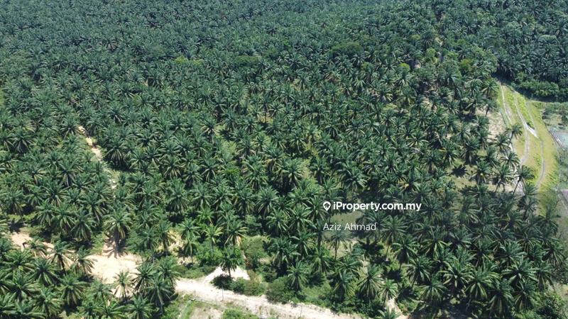 Agricultural Land for Sale in Rembau, Rembau by Aziz Ahmad - iProperty.com.my