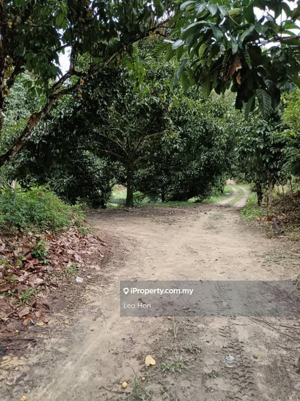 Agricultural Land for Sale in MANTIN, Seremban by Leo Hon - iProperty.com.my
