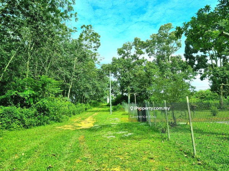For Sale - 7 Acres Land Durian Tunggal To Machap Umboo